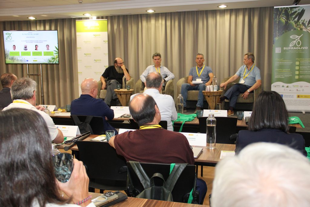 La mesa redonda “El olivar en tierras ácidas: dificultades, soluciones y posibilidades” reunió a Jesús Ángel Blanco, gerente de Soleae; Xoán Couto, presidente de PROLIGAL y Raúl de la Rosa, doctor ingeniero agrónomo del IAS-CSIC. Como moderador: Lucio García, doctor ingeniero agrónomo del CTC.